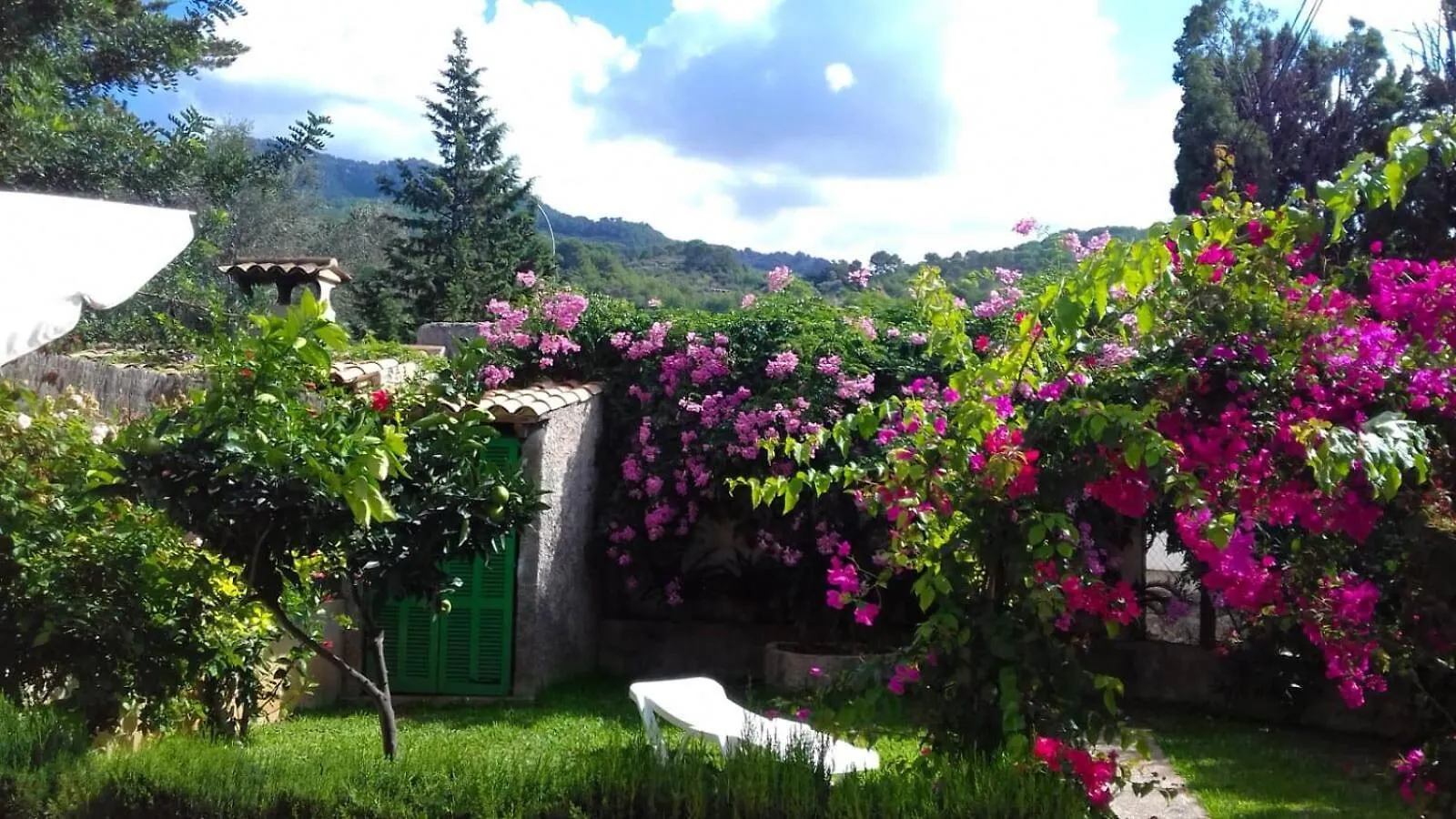 Apartment Bougainvillea Puerto de Sóller